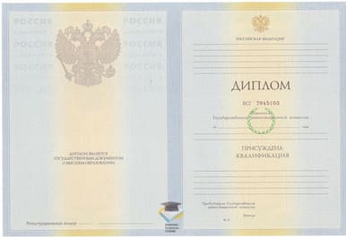 Диплом ПсковГУ 2010-2011 годов